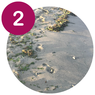 Your Personal Journey